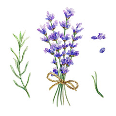 Obraz premium Lavender flowers, bouquet, leaves. Hand drawn watercolor illustration isolated on white. For design of cosmetic collections, cards, labels, posters, invitations to salons.