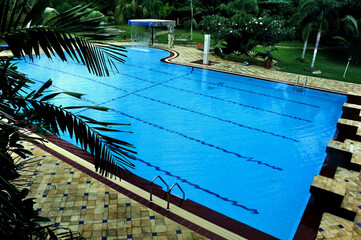 A serene swimming pool atmosphere, perfect for family vacations, featuring crystal-clear water, adorned with plants and a pavilion for relaxing and enjoying a sunny day