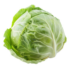 Fototapeta premium Fresh green cabbage isolated on a transparent background, perfect for culinary, nutritional, and health-related projects highlighting fresh produce