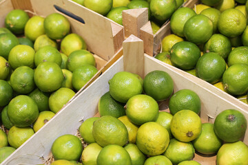 Fresh green limes in wooden crates. Sour citrus fruits for transport, import, and export. Bulk...