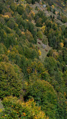 Obraz premium Mountains covered in green and yellow trees. Late summer.