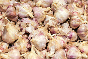 Garlic texture. Pile of garlic bulbs stacked in a crate. Fresh garlic heads in a wooden box. Harvest season for garlic. Group of bulbs background.
