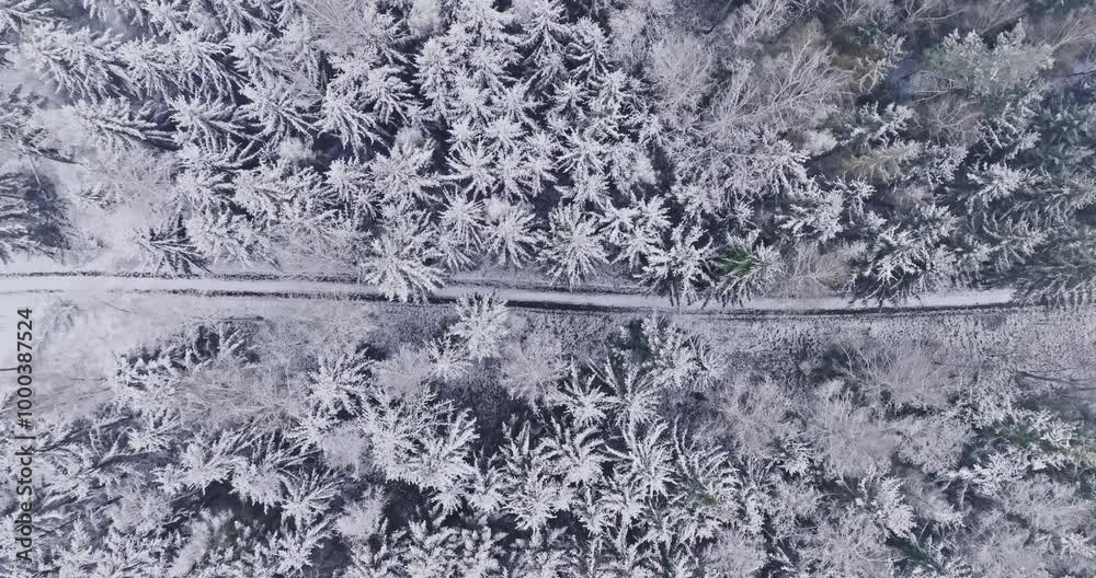 Wall mural Aerial view of snowy road and forest in winter 