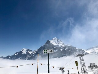 Fototapeta premium In the Swiss Alps
