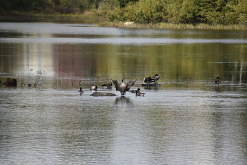 Marais Kingsbury 28 Septembre 2024