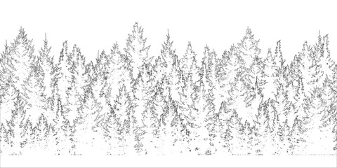Contour of forest, coniferous trees. Vector illustration