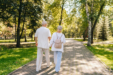 Back view of unrecognizable affectionate retired gray-haired couple enjoying sunny day in park, walking hand in hand, chatting laughing, embodying love and companionship in happy retirement.