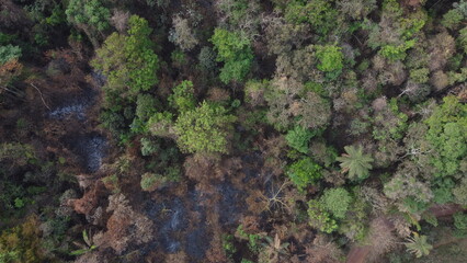 Incêndio florestal