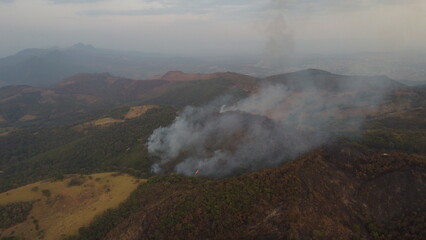 Fototapeta premium Incêndio florestal