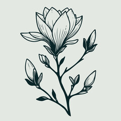 magnolia flowers vector, illustration of exotic flower, black and white flower