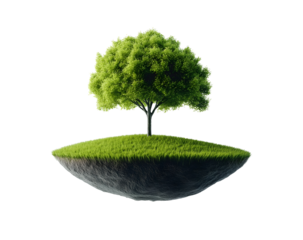 green tree growing on floating island isolated png transparent background