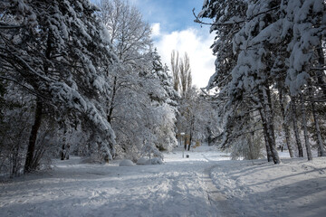 Winter panorama of South Park  in city of Sofia, Bulgaria