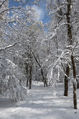 Winter panorama of South Park  in city of Sofia, Bulgaria