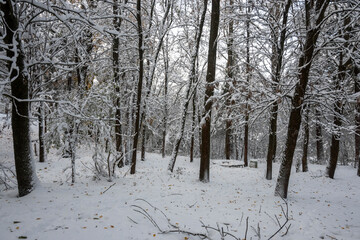 Winter panorama of South Park  in city of Sofia, Bulgaria