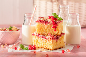 Sweet red currant yeast cake served with milk in bottle.