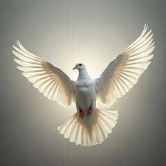Obraz premium flying white dove symbolizing peace