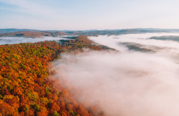 Epic Sunrise New England Fall Foliage Aerial View. Low Fog Over Vast Colorful Forest Trees. Poet's Seat Tower View Massachusetts. Beautiful Nature