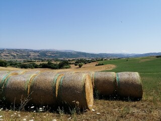 Balle di fieno in campagna italiana estate agricoltura biologica