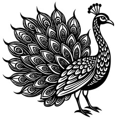 Naklejka premium peacock illustration