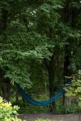 Blue cradle under tree with green branch and shade