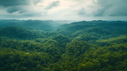 Fototapeta premium Aerial photographs of a sprawling tropical rainforest in pristine condition