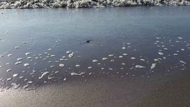 Calm beach waves video footage