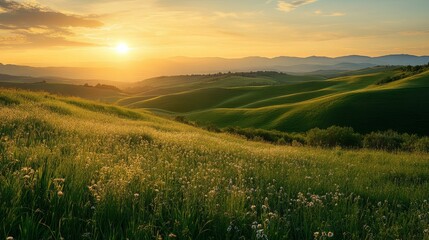 Fototapeta premium Serene Sunset Over Rolling Hills