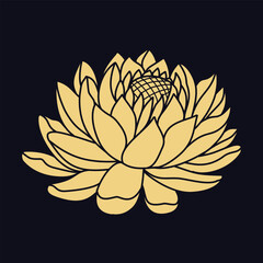 A golden lotus lily flower on a black background from side view, Vector illustration
