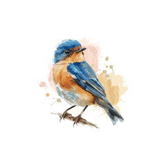 Fototapeta premium beautiful watercolor bird drawing