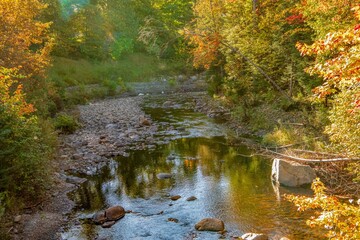 autumn in the creek