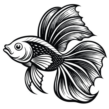 recommend clip art: Adobe Illustrator BETTA fish vector icon design template ideaArtwork