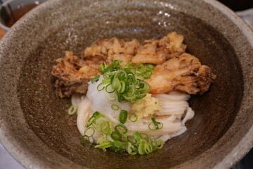 Japanese Food, Cold Udon Noodle with Fried Mushroom Tempura - 日本料理 まいたけの天ぷら 冷やしうどん
