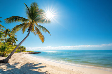 Obraz premium Sunny beach with palm trees under clear blue sky, calm waters and sandy shore, capturing the beauty of summer in an exotic tropical location with a lone coconut tree swaying in the breeze.