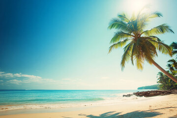 Sunny beach with palm trees under clear blue sky, calm waters and sandy shore, capturing the beauty of summer in an exotic tropical location with a lone coconut tree swaying in the breeze.