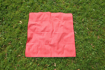 One checkered picnic tablecloth on green grass, above view
