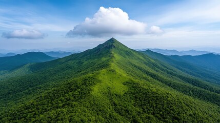 Fototapeta premium Majestic Mountain Peak with Lush Green Forest and Blue Sky