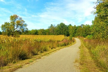 Early Autumn landscape of the Paul Bunyan Trail passing a cornfield in a forest near Bemidji, Minnesota, USA.