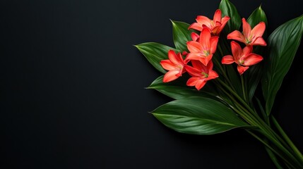 Obraz premium A vibrant bouquet of orange lilies surrounded by lush green leaves on a dark background.