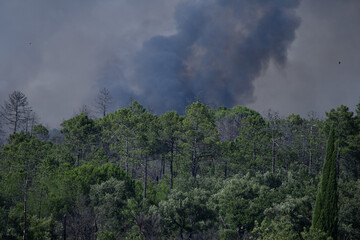 Wildfire in the Massifs des Maures, South of France