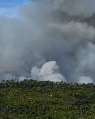 Wildfire in the Massifs des Maures, South of France