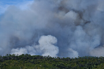 Wildfire in the Massifs des Maures, South of France