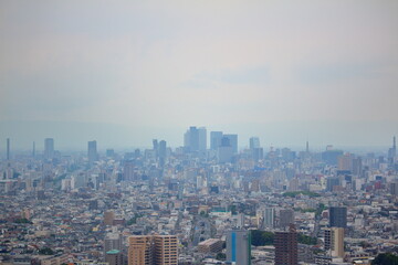 Fototapeta premium 曇り空の下遠くに見えるビル群