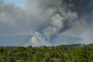 Wildfire in the Massifs des Maures, South of France
