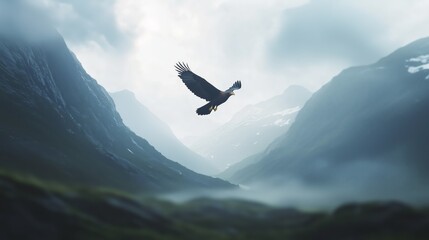 Majestic Eagle Soars Over Minimalist Mountain Landscape