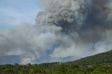Wildfire in the Massifs des Maures, South of France