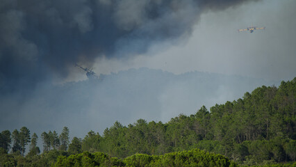 Wildfire in the Massifs des Maures, South of France