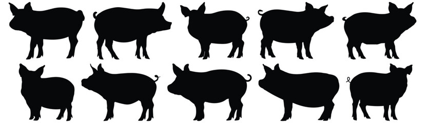 Pig silhouette set vector design big pack of animal illustration and icon