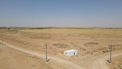 Farm, big sprinklers, green fields, crops, irrigation, water, sunlight, soil, growth, nature, breeze, horizon, open sky, rain, arcs of water, life, earth, landscape, serenity, rows of crops, harvest, 