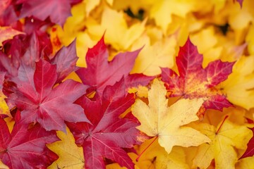 Beautiful autumn background of red and yellow maple leaves on the tree, selective focus - generative ai