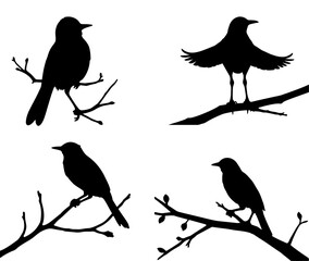 bird on a branch vector silhouette illustration